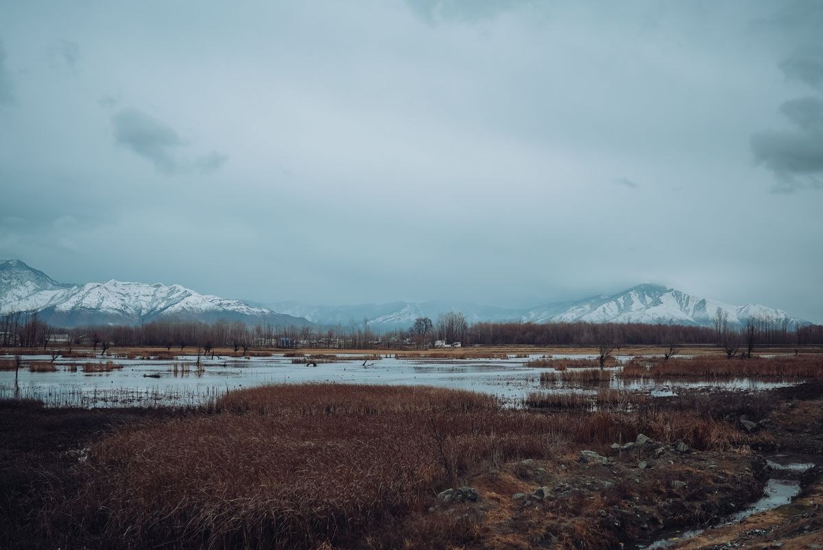 Exotic Kashmir