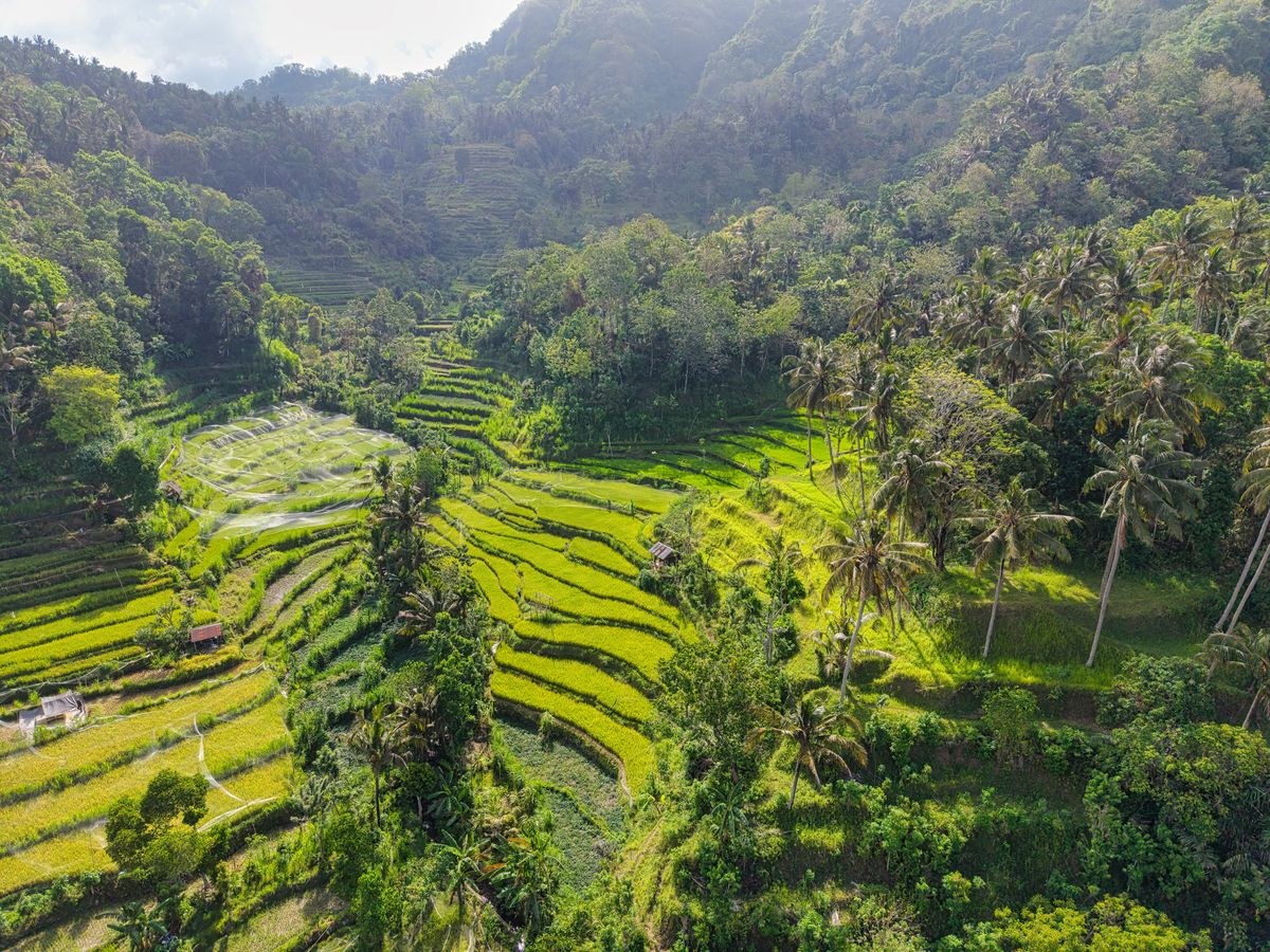 Bali Island Explorer