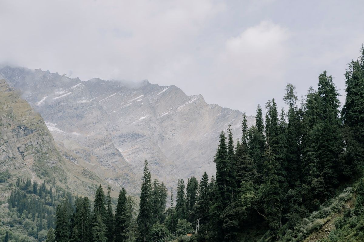 Himachal Snowland Adventure