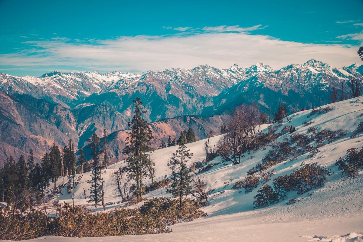 Auli Snow Adventure