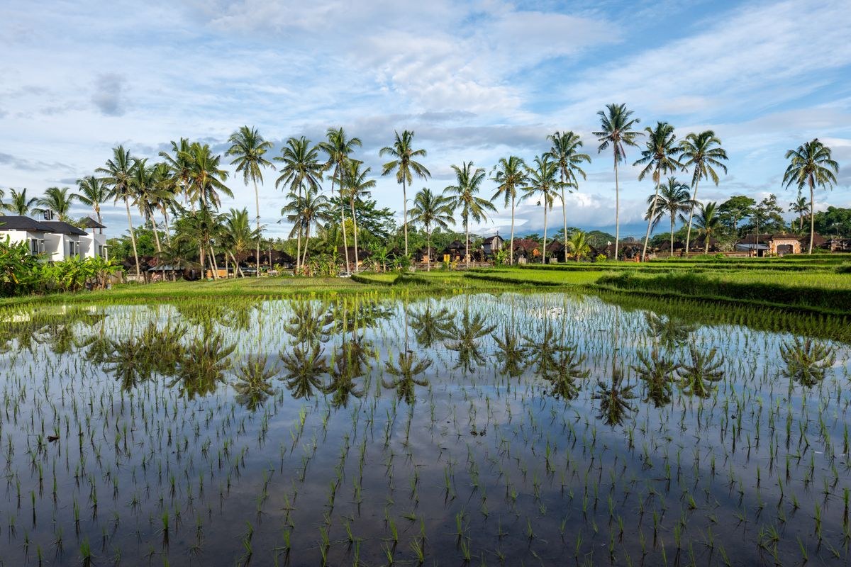 Bali Adventure & Nature