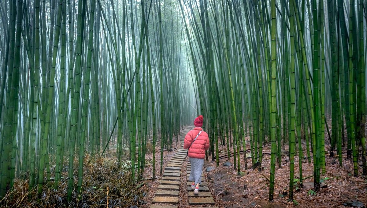 The Wettest Trail on Earth